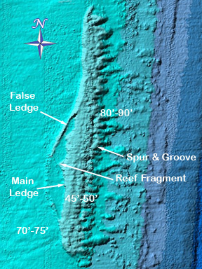 Dive With South Florida Diving Headquarters